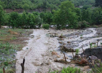 Adana'da selde 3 araç kullanılamaz hale geldi