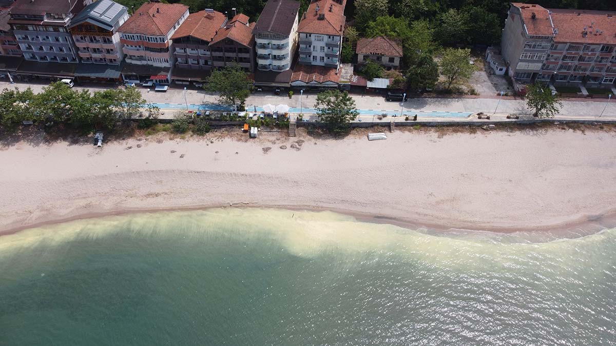 Amasra'da deniz yüzeyinde kirlilik