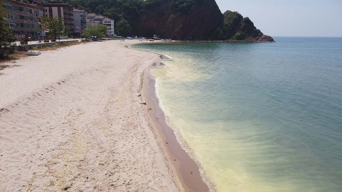 Amasra'da deniz yüzeyinde kirlilik
