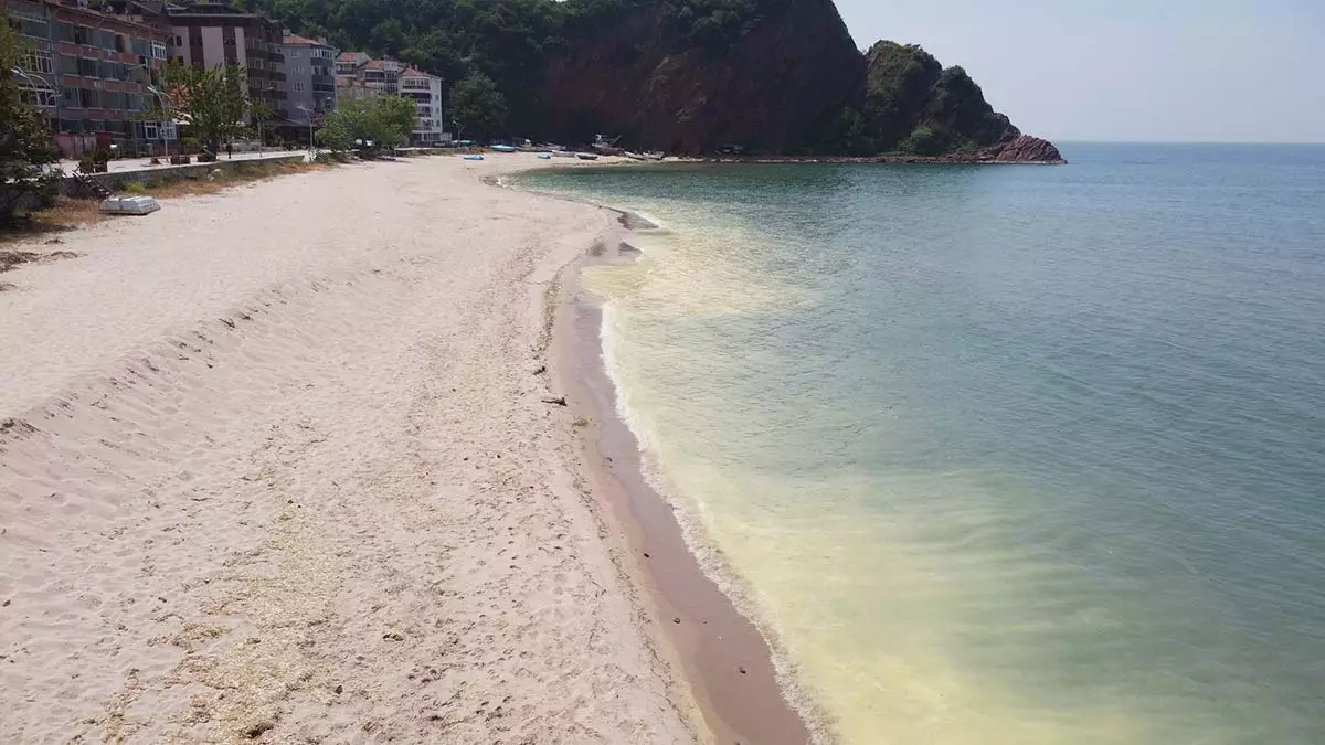 Amasra'da deniz yüzeyinde kirlilik