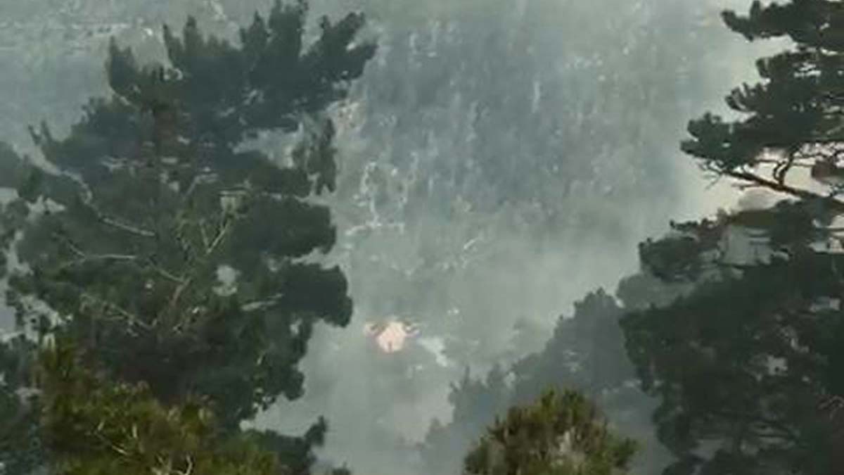 Orman yangını 6 saatlik mücadele sonucu söndürüldü