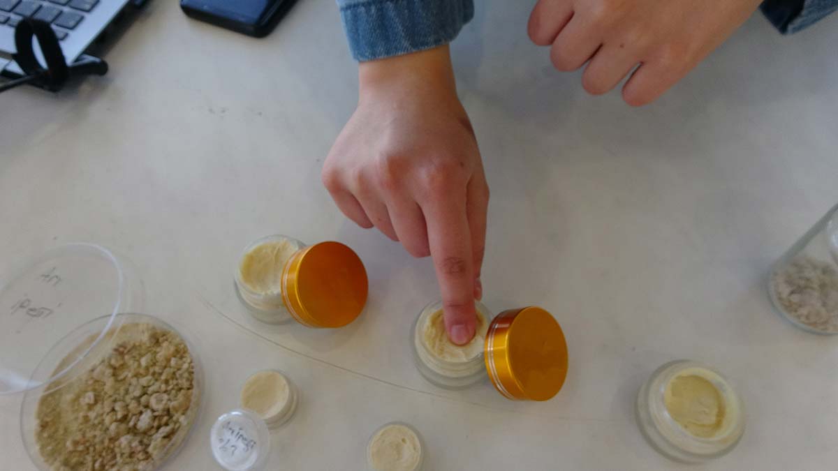 Arı ipeğinden krem üretildi