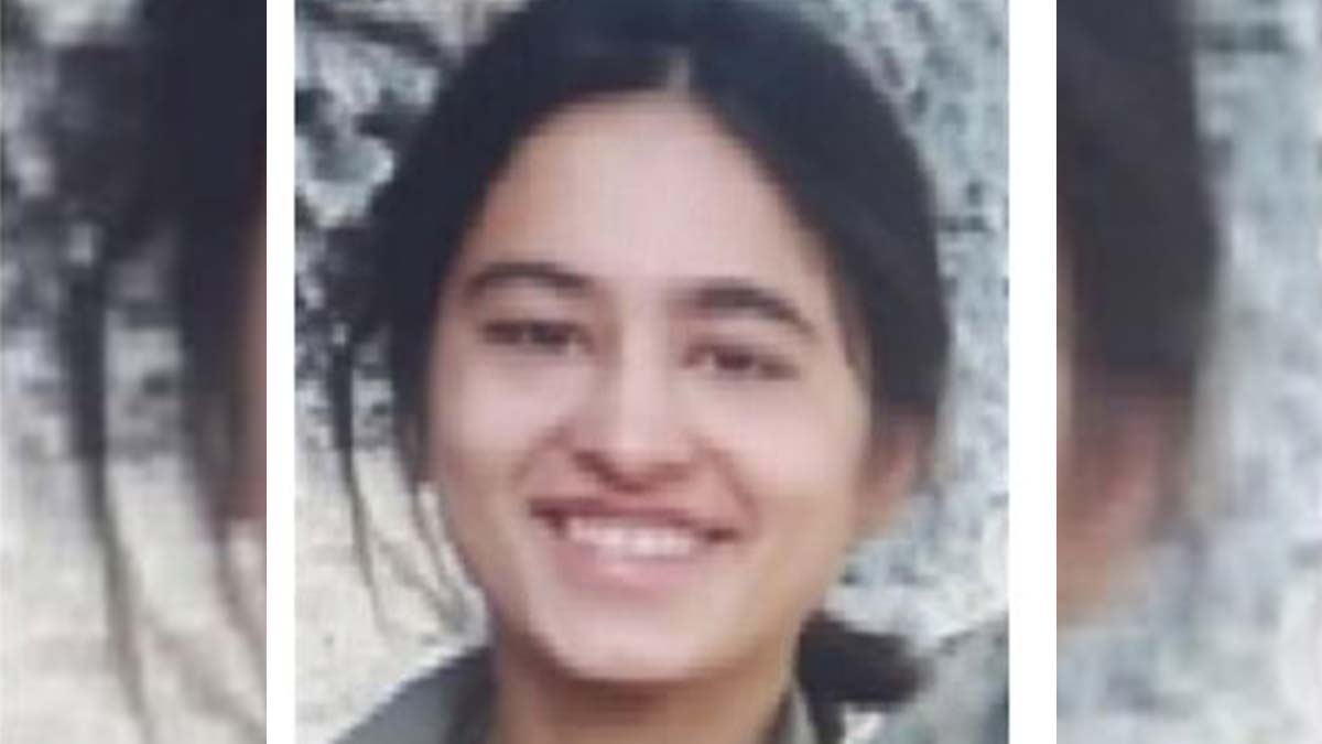 Arin kod adlı terörist gri kategorideymiş