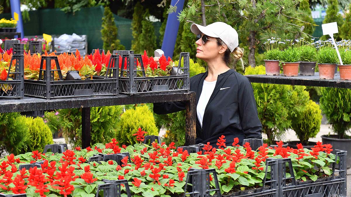 Çevre Koruma ve Kontrol Daire Başkanlığı, EGO Genel Müdürlüğü ve ANFA Bitki Evi iş birliği ile bir ilke imza atarak Başkent'te Çiçeğim Takas uygulamasını başlatıyor.