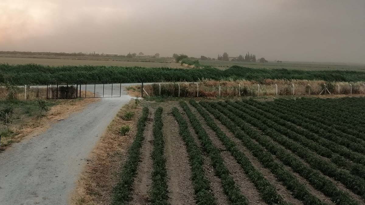 Aydın'da toz bulutları gökyüzünü kapladı