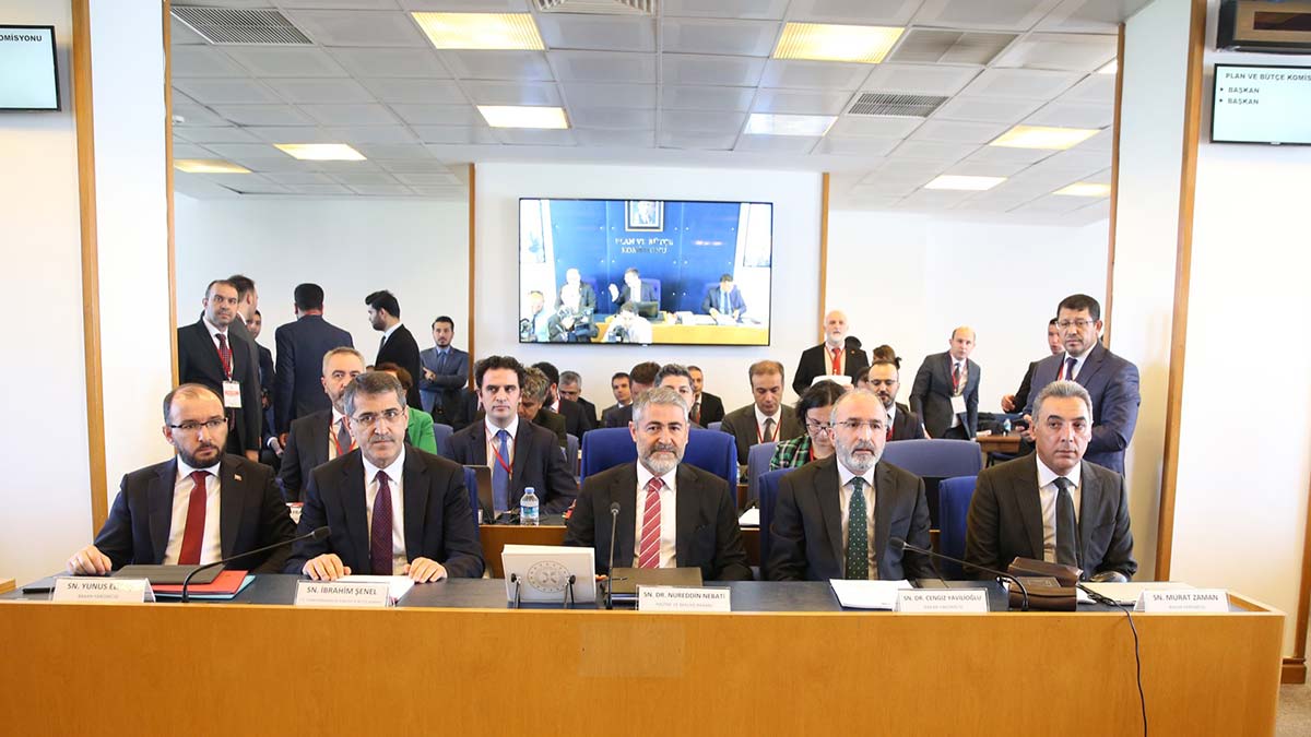 Olağanüstü fiyat artışlarını çözmeye çalışıyoruz