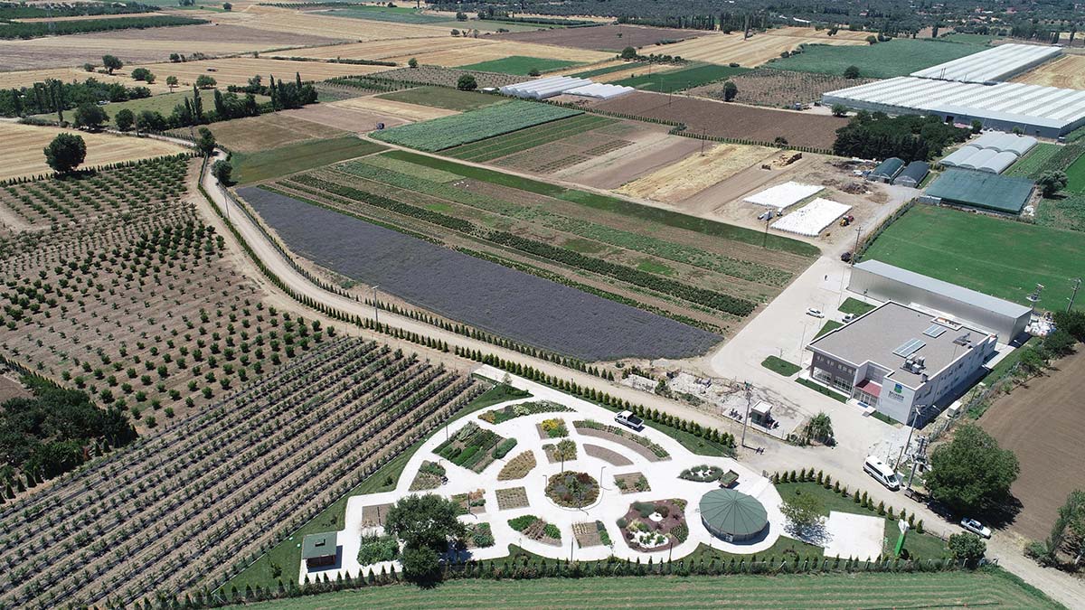 Balıkesir'de Aromaterapi Festivali