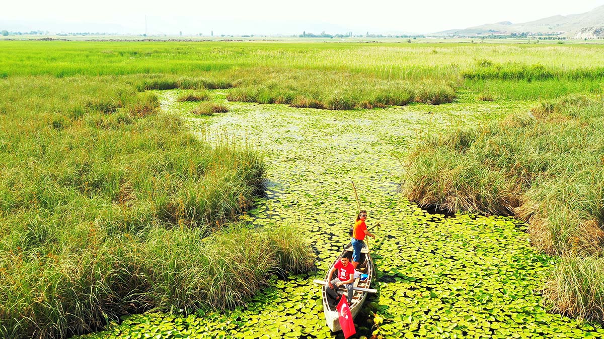 Eldere Gölü'nde nilüferler açtı