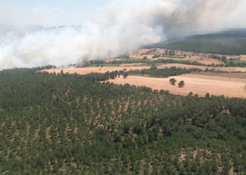 Bayramiç'te tarlada başlayan yangın ormana sıçradı