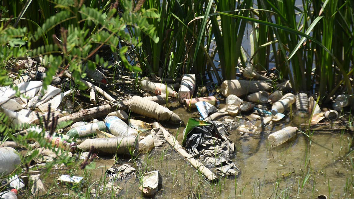 Edirne'nin önemli su kaynaklarından Tunca Nehri'nin debisi düştü, adacıklar ve ot öbekleri oluştu. Atıklarla nehir çöplüğe döndü.