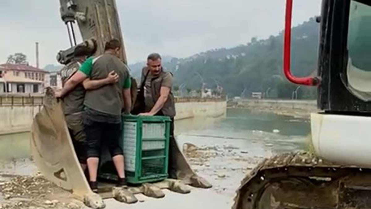 Yaralı bulunan karaca kurtarıldı