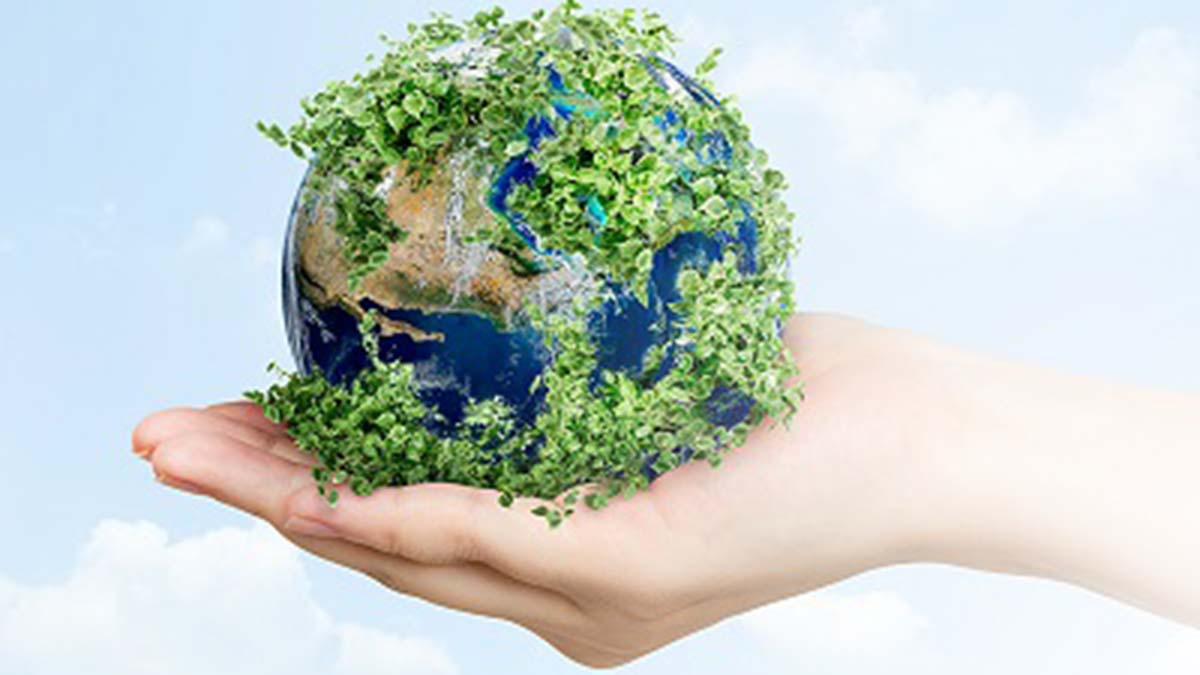 e-dönüşüm belgesi sayesinde 140 bin ağaç korundu