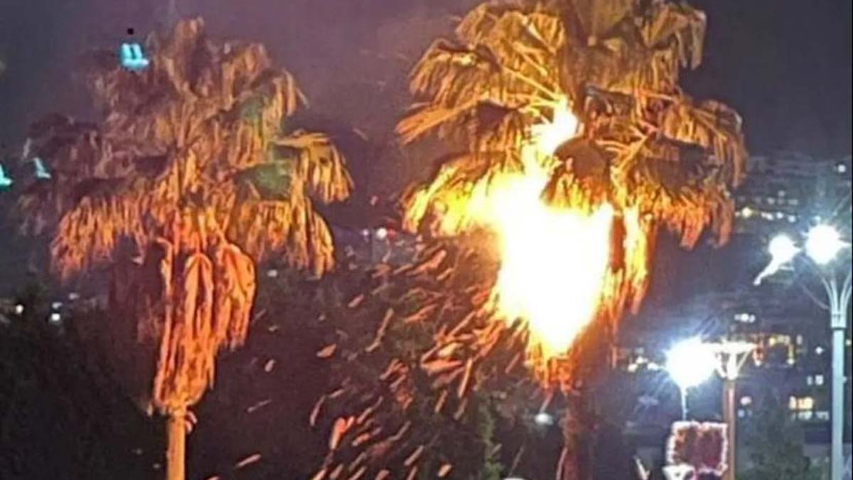 Dilek feneri palmiye ağacını yaktı