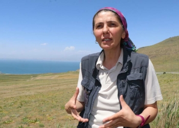 Erciş fayı doğuya doğru devam edecek