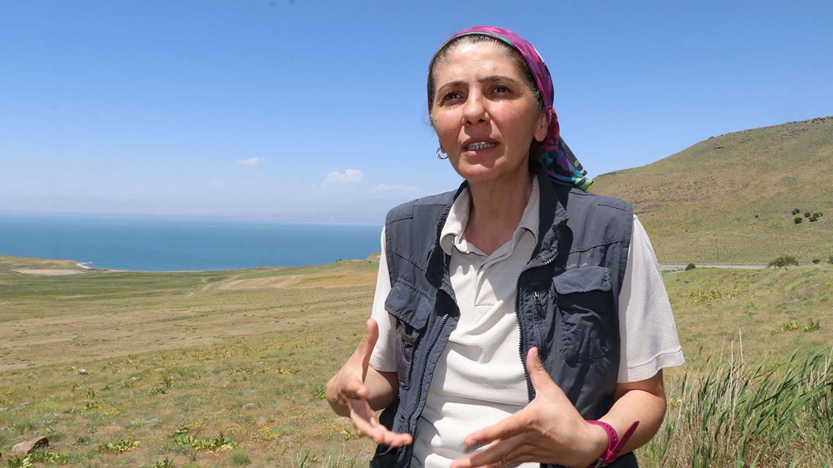 Erciş fayı doğuya doğru devam edecek