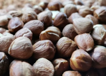 Üreticinin fındıkta beklentisi 45 TL