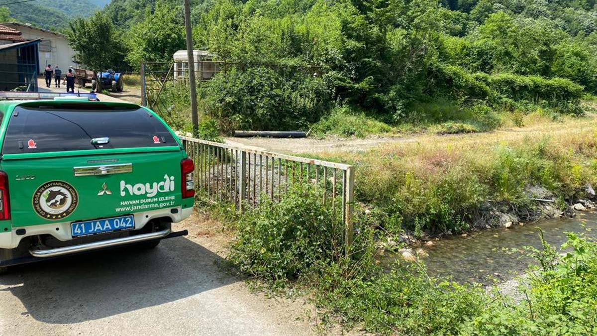 Atıklarını dereye boşaltan çiftlik hakkında soruşturma