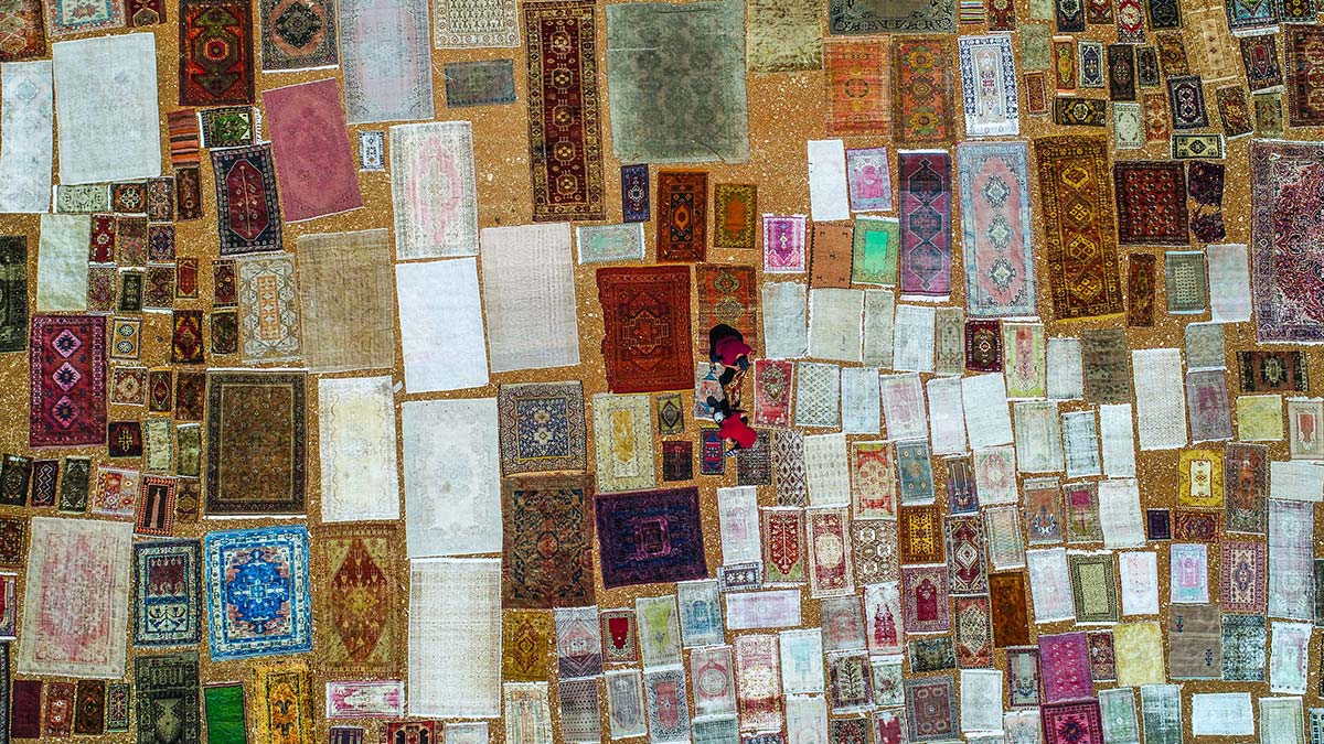 Halı tarlasında sezon başladı