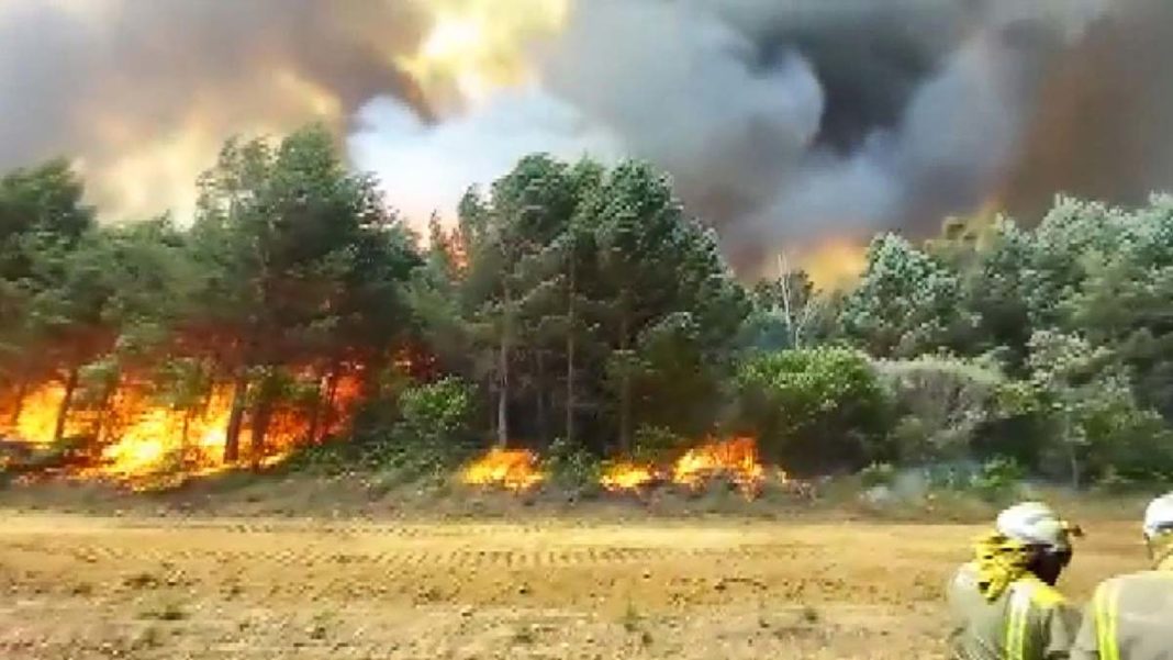 İspanya'da orman yangınları devam ediyor