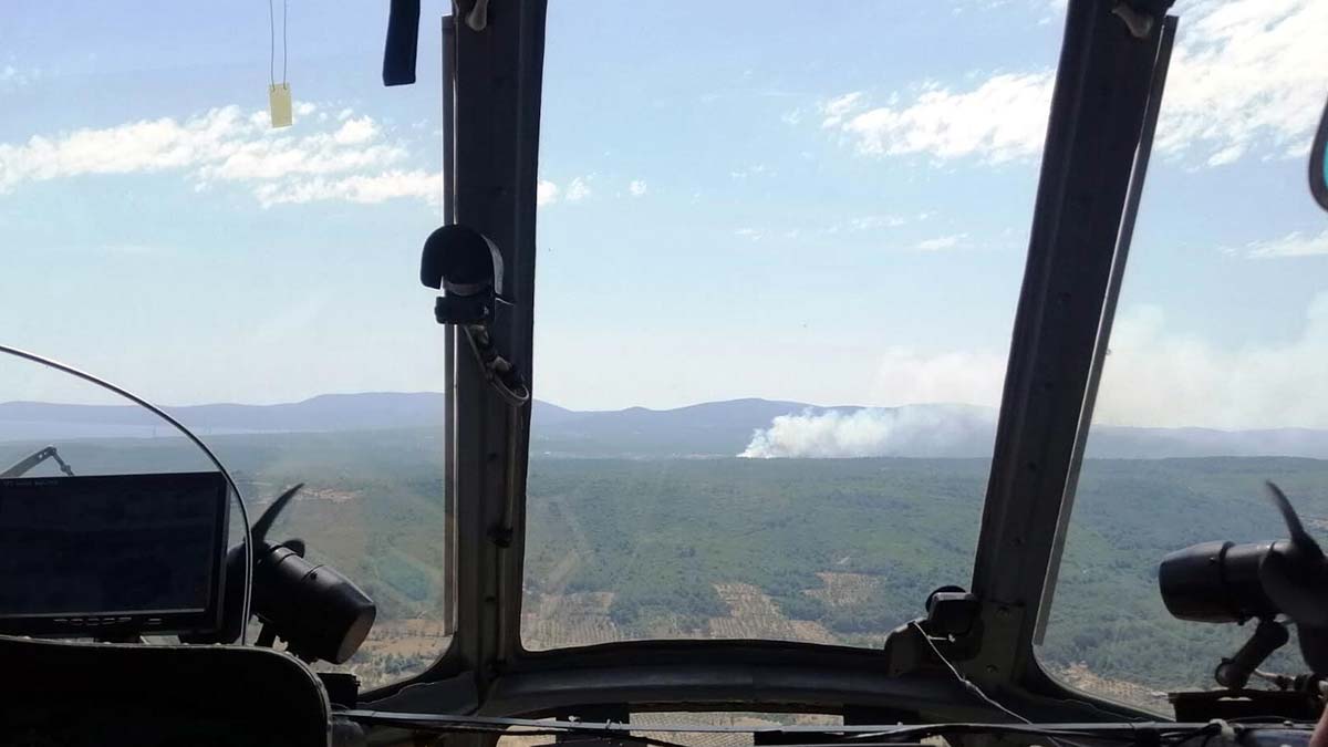 İzmir Urla'da orman yangını