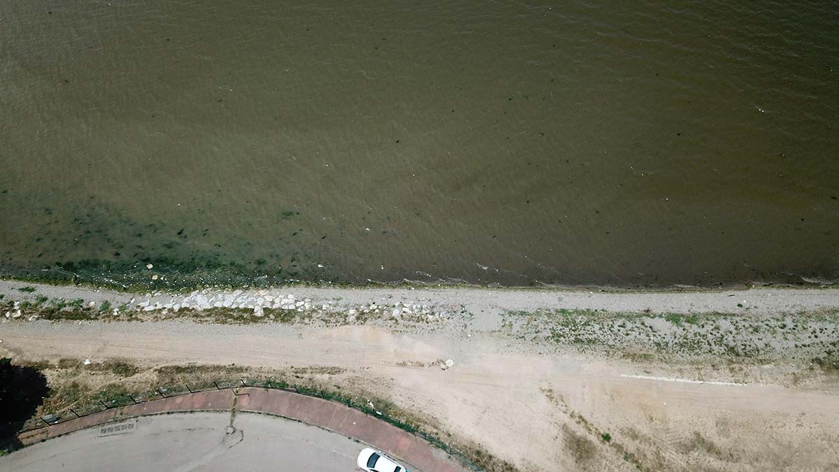 İzmit Körfezi'ne çamurlu su aktı