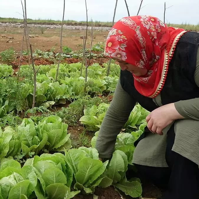 Gülcemal deniz dolgu alanı hobi bahçesine dönüştü