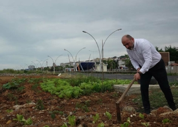 Gülcemal deniz dolgu alanı hobi bahçesine dönüştü