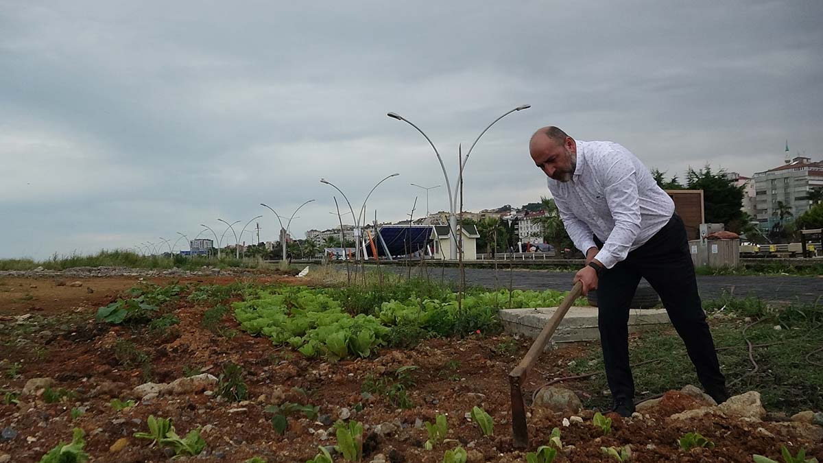 Gülcemal deniz dolgu alanı hobi bahçesine dönüştü