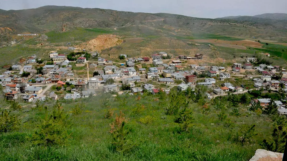 Almanya'dan emekli olduktan sonra memleketi gümüşhane'nin köse ilçesine bağlı kayadibi köyüne dönen ömer bulut (78), ağabeyi abdurrahman bulut (84) ile birlikte küçük yaşlarda kurdukları orman hayali için 12 bin çam fidanını toprakla buluşturdu. Sulama havuzu da kuran kardeşler, fidanlara gözü gibi bakıyor.