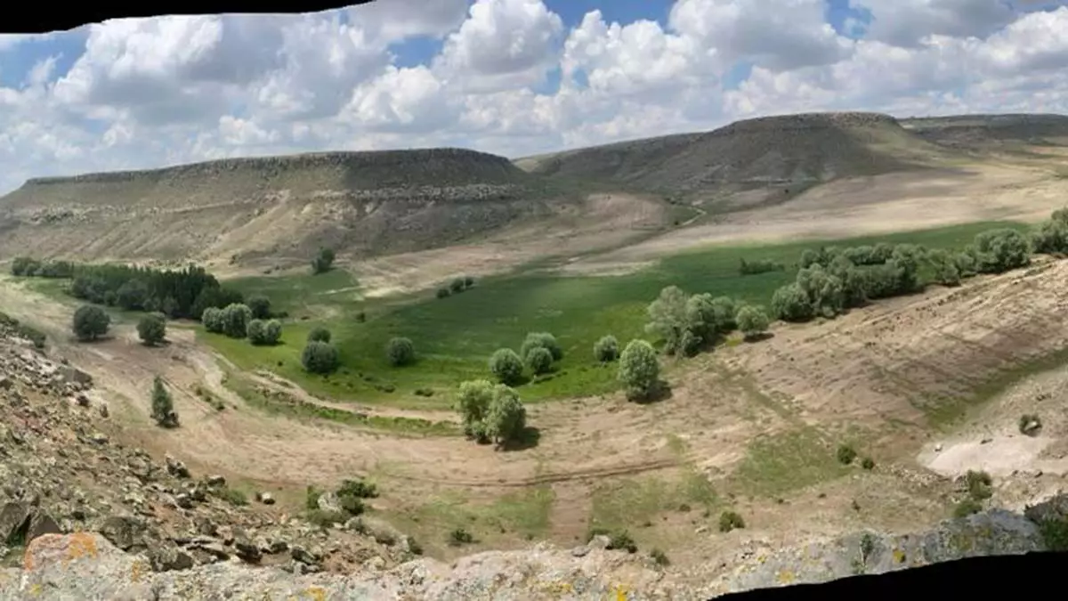 Kayseri'de selde ölen koyun sayısı 230'a çıktı