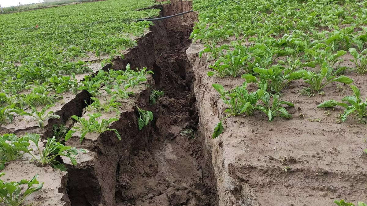 Kayseri'nin yeşilhisar ilçesinde 2 gündür etkili olan şiddetli yağışlar sonrası ekili arazide yarık oluştu.