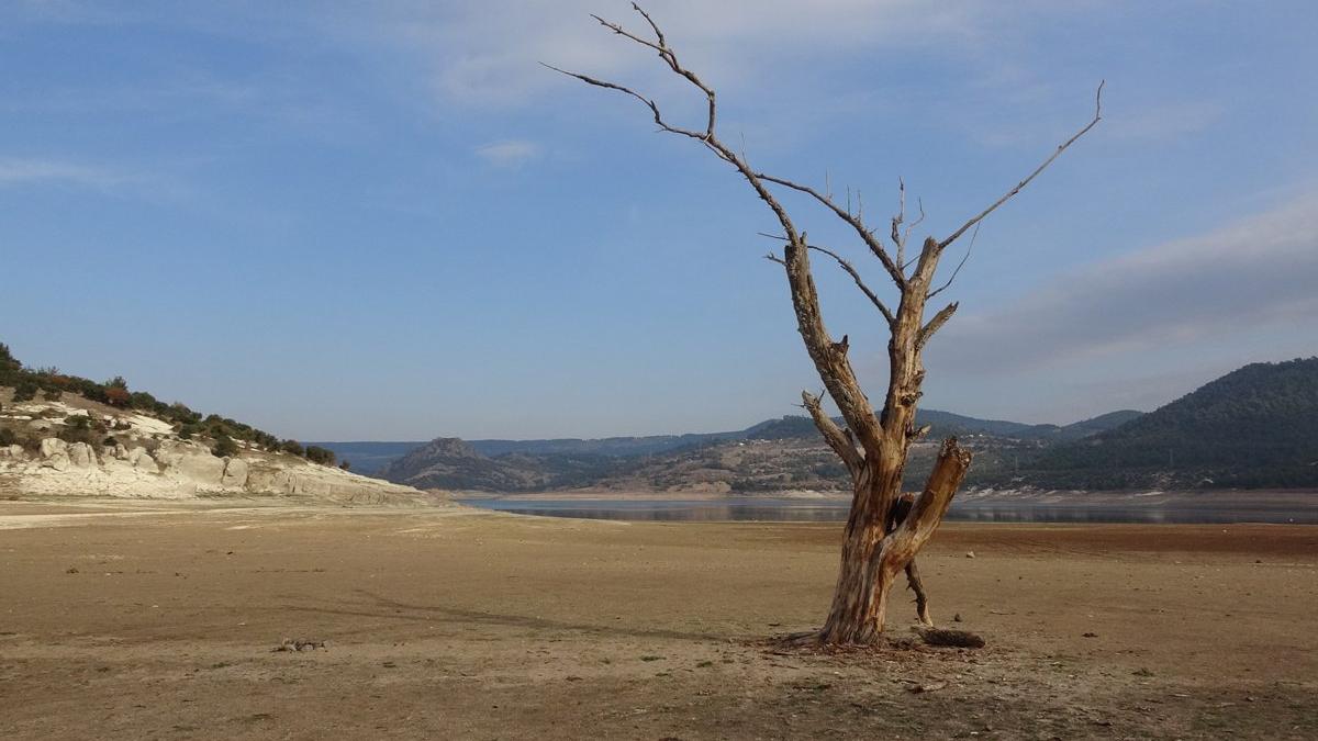 Çölleşme ve kuraklığın etkisi artıyor