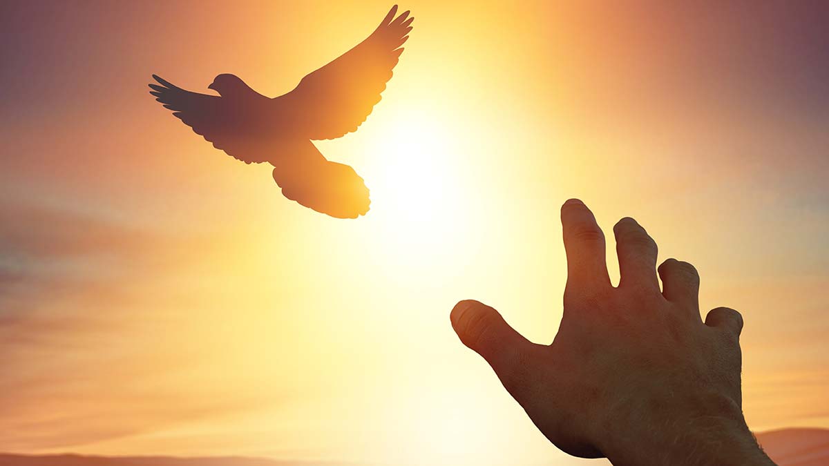 Bizden geriye kalanlar