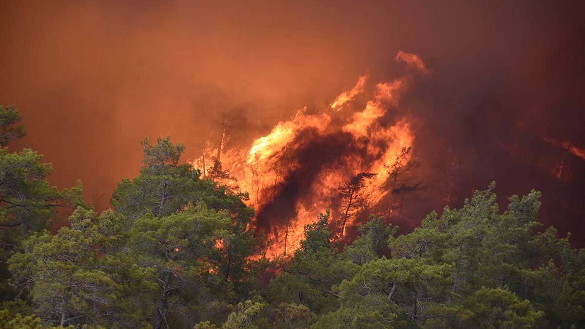 Yangının ilerlemesi karşı ateşle engellenmiş