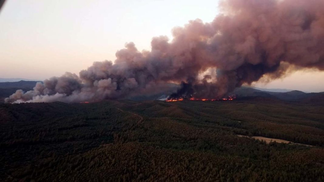 Orman yangınının kontrol altına alınmasında sona yaklaşıldı