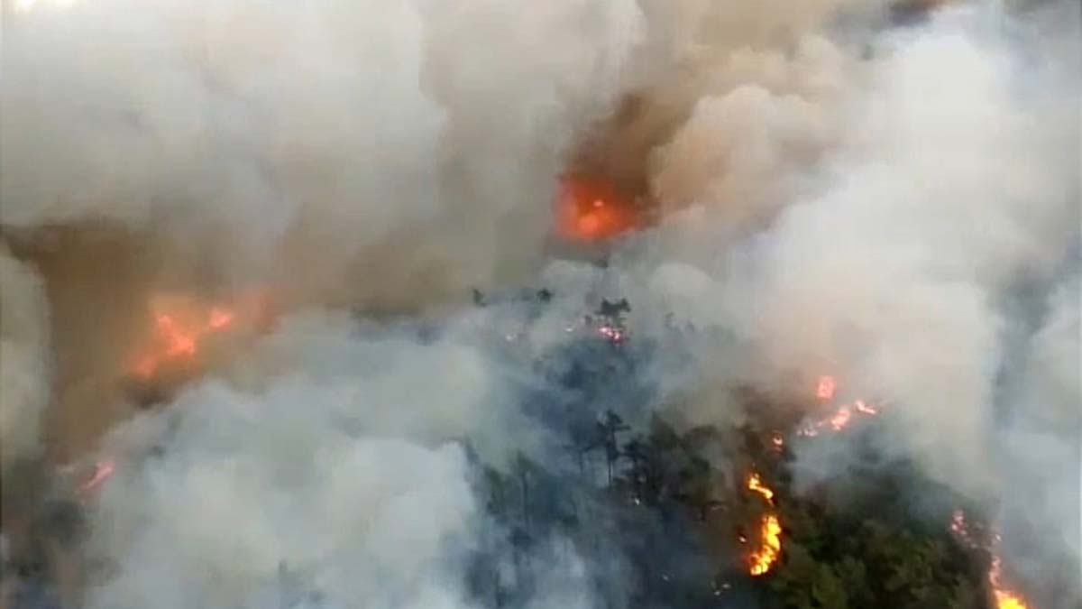 Marmaris'te orman yangını: Müdahale sürüyor