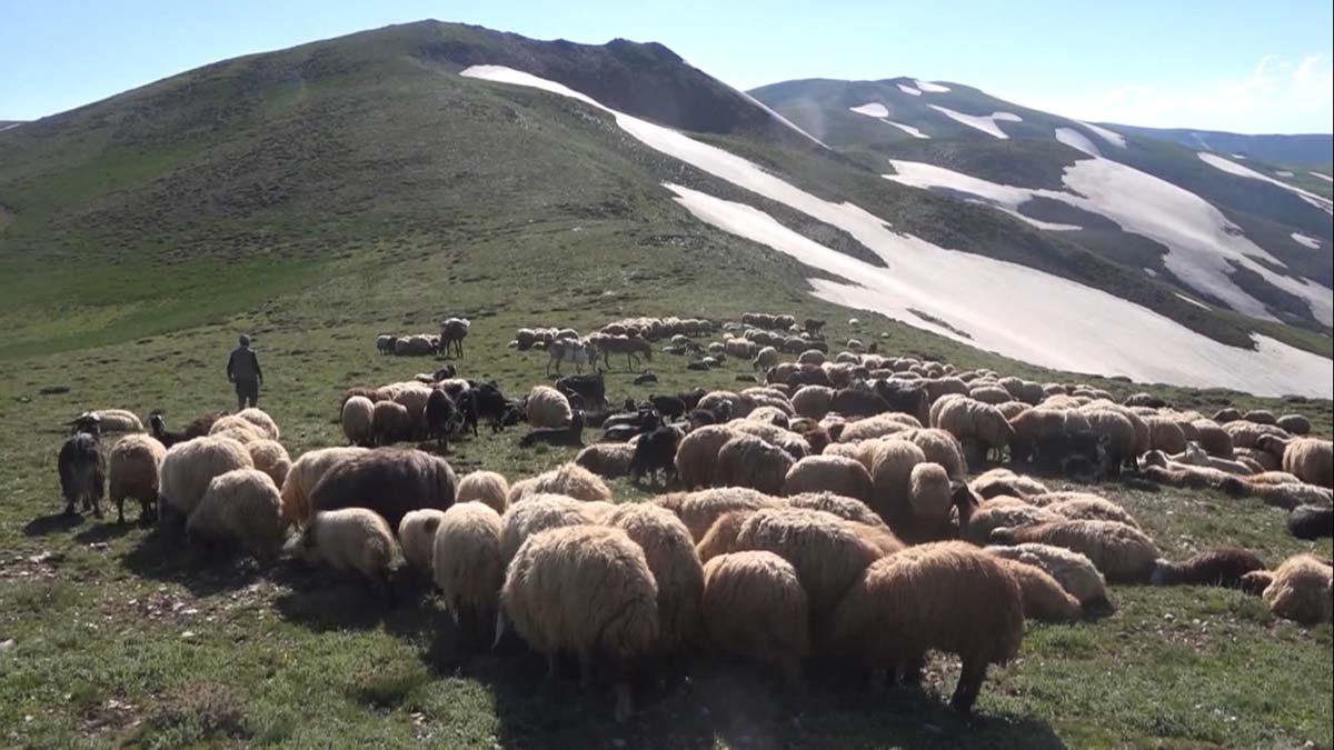 Göç eden besiciler geri dönmeye başladı