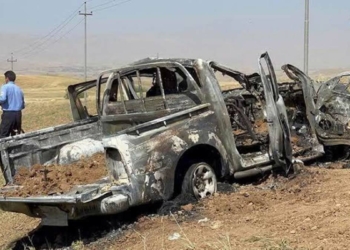 PKK'nın sözde yöneticisi etkisiz hale getirildi
