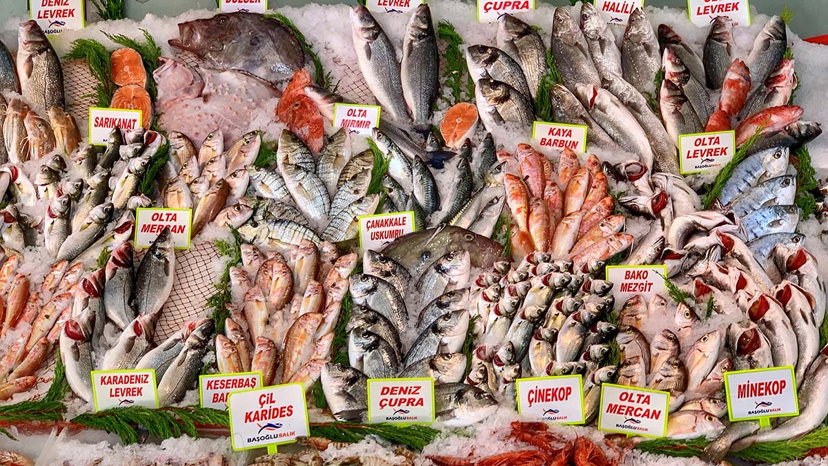 Çiftlik balıkları hormonlu mu?