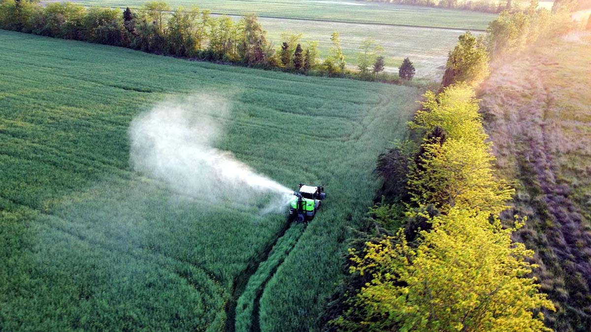 Türkiye, meteorolojik ve zirai kuraklık yaşıyor