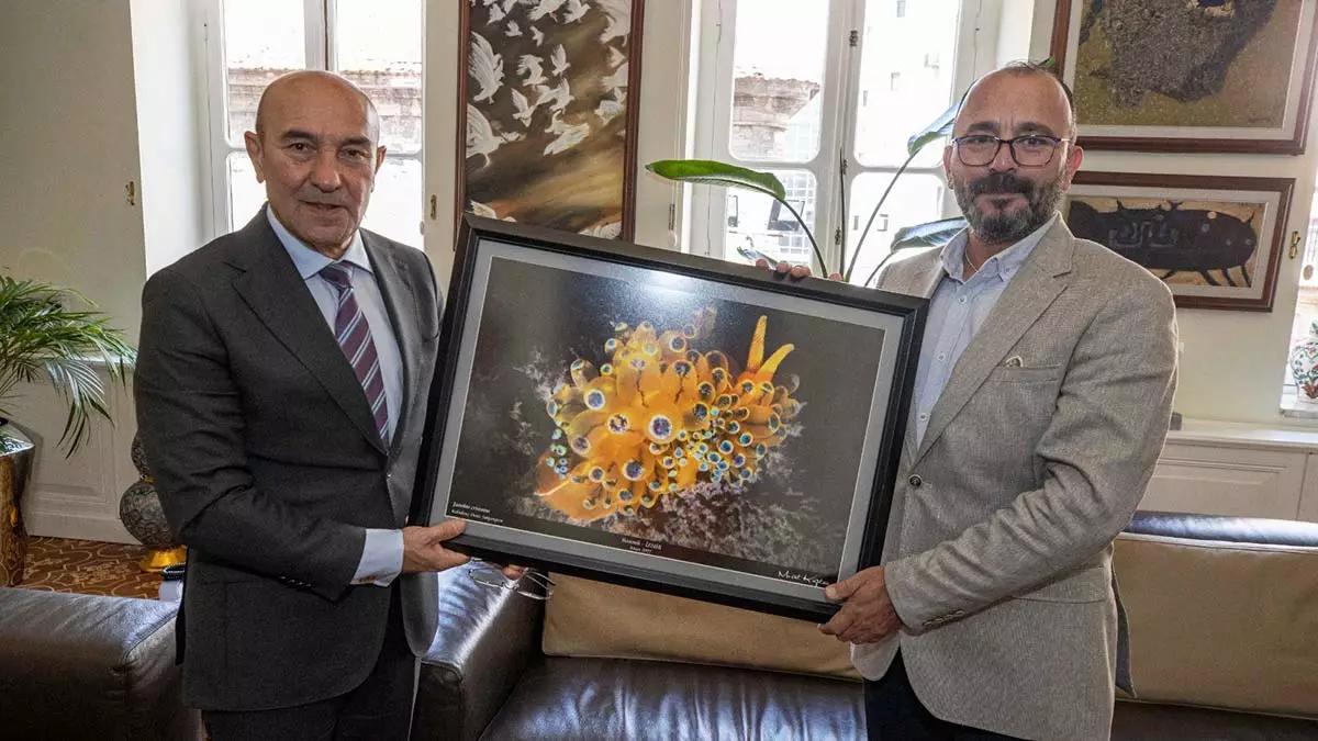 Başkan soyer'e "janolus cristatus" fotoğrafı hediye edildi