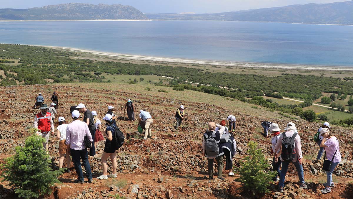Salda Gölü kenarına 300 köknar fidanı dikildi