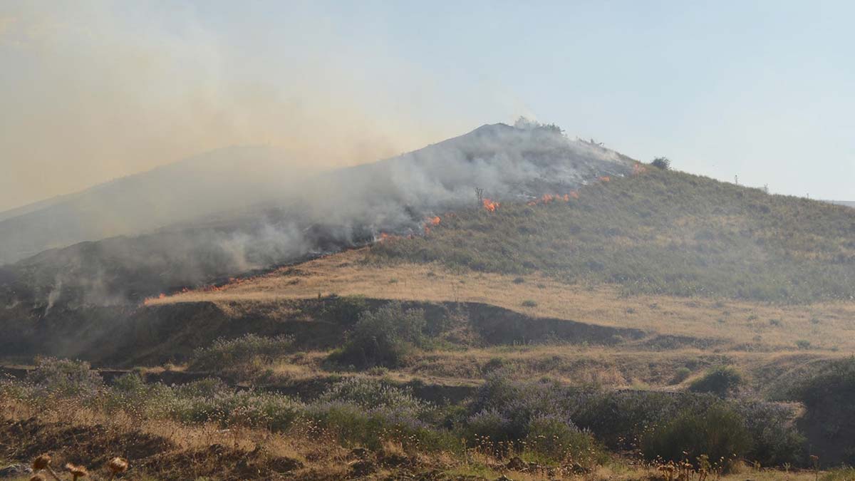 105 dönüm orman kül oldu