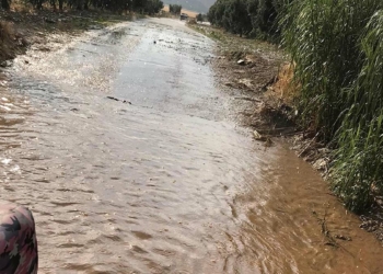 Salihli'de sağanak; Tarım alanları zarar gördü