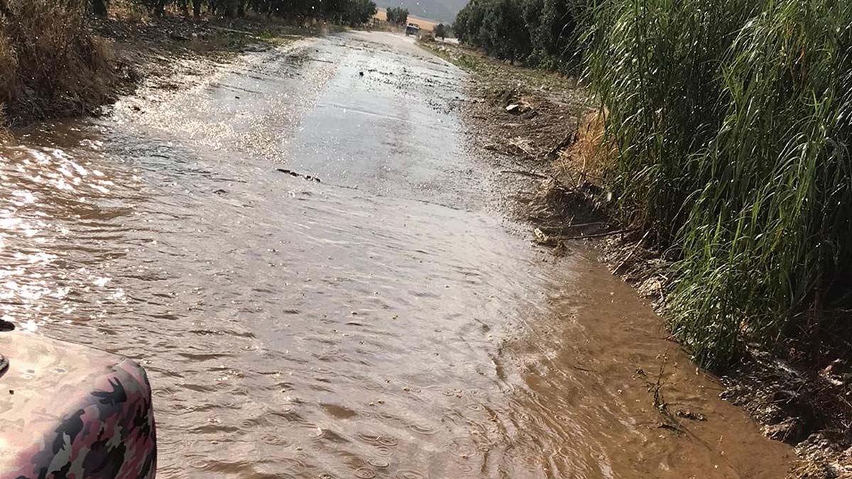 Salihli'de sağanak; Tarım alanları zarar gördü