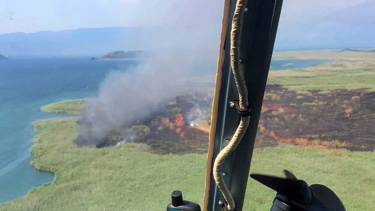 Sazlık yangını şüphelisi; Delil için selfie yaptım