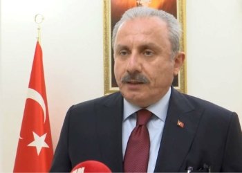 Salihe Aydeniz'in saldırısı haddini bilmezlik