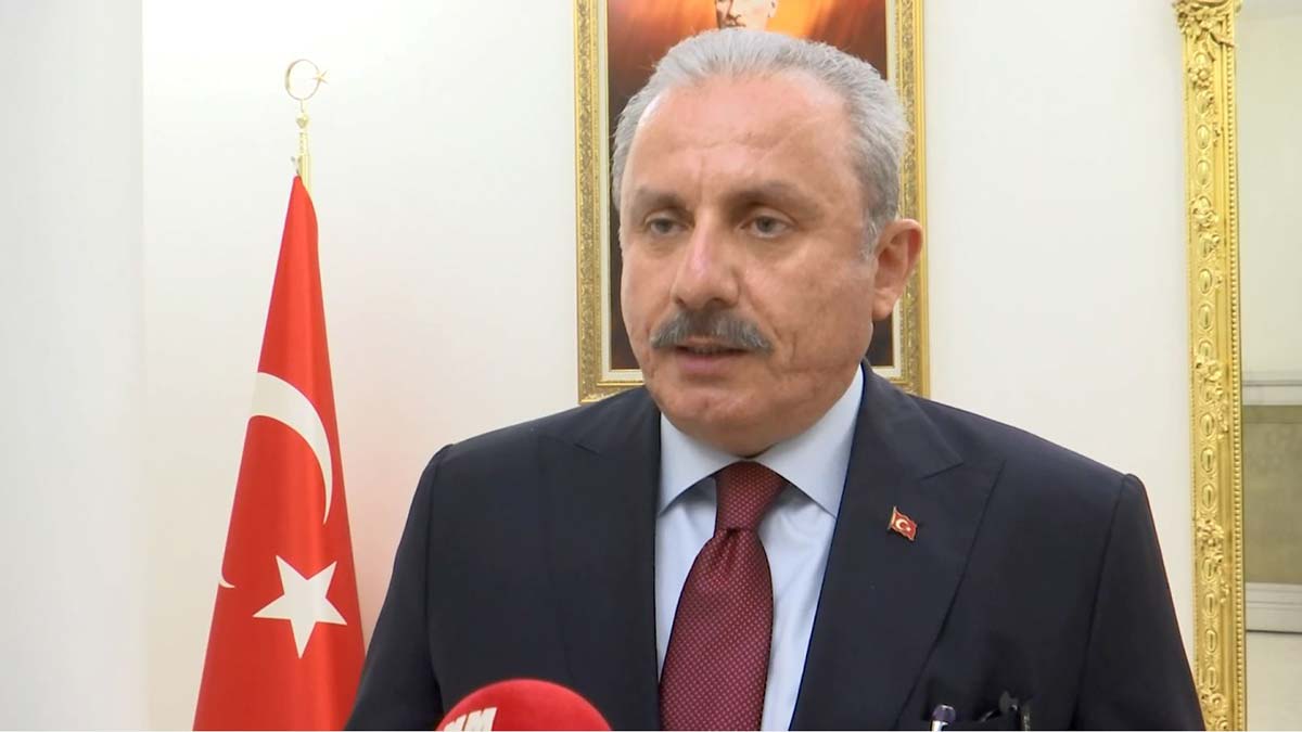 Salihe Aydeniz'in saldırısı haddini bilmezlik