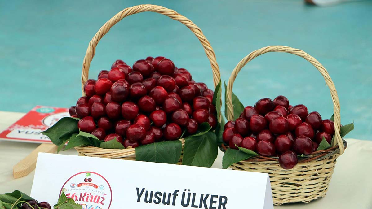 Tekirdağ'da 'En Güzel Kiraz Yarışması' düzenlendi