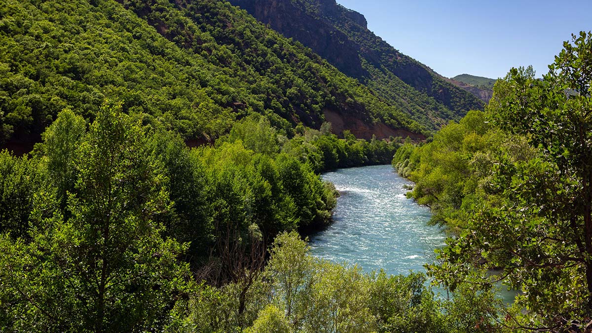 Tunceli'de ormanlara giriş yasaklandı